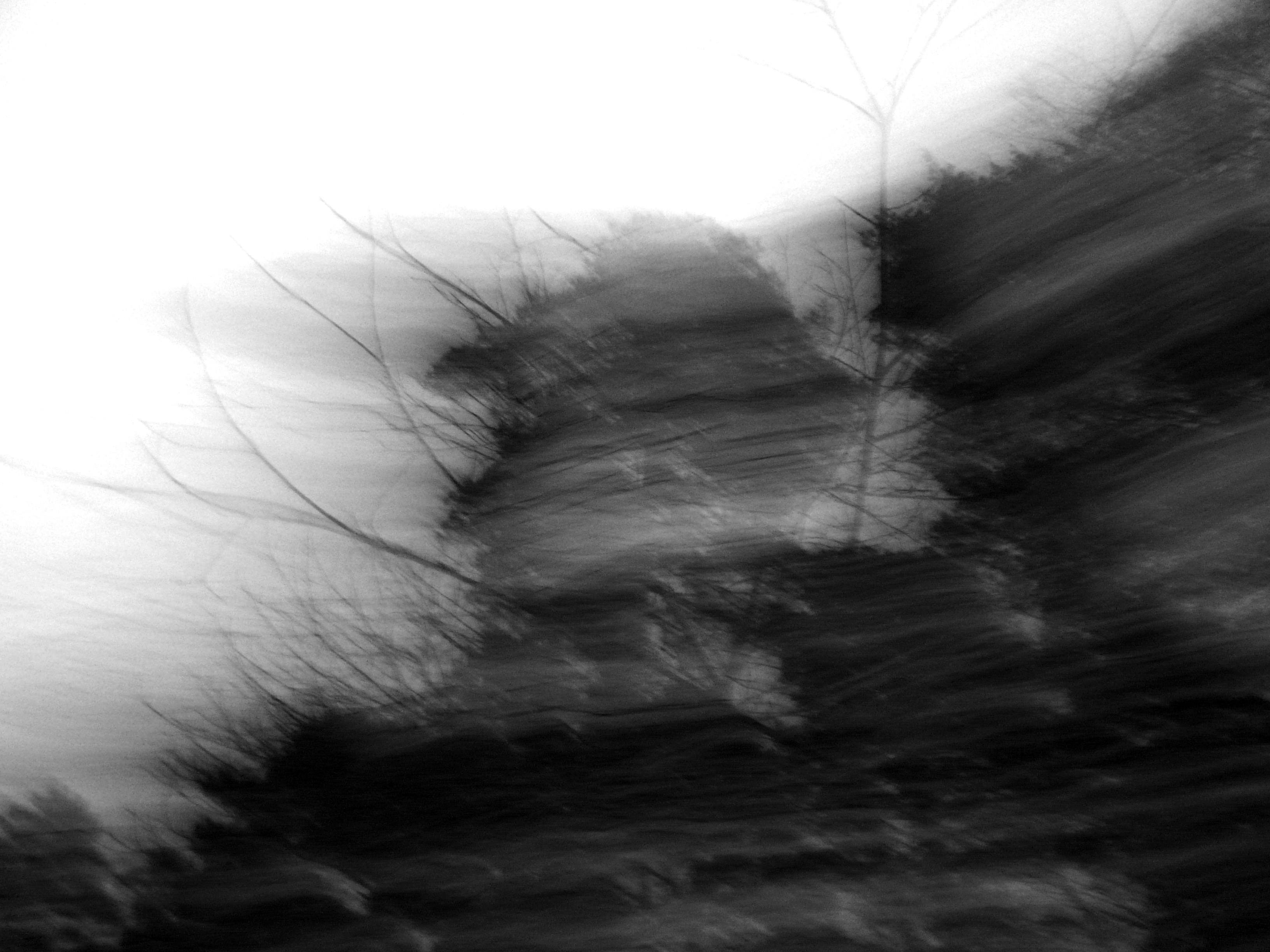 Black and white photograph of trees moving in a blur across the image