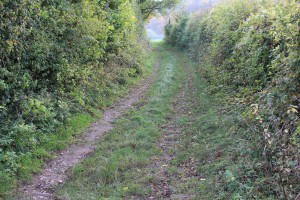 footpath lane towards valley