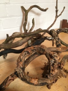 photograph of bits of found ivy on a desk