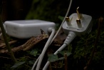 photograph by Tiffany Robinson of a mac laptop power charger, cable and plug set in a tree