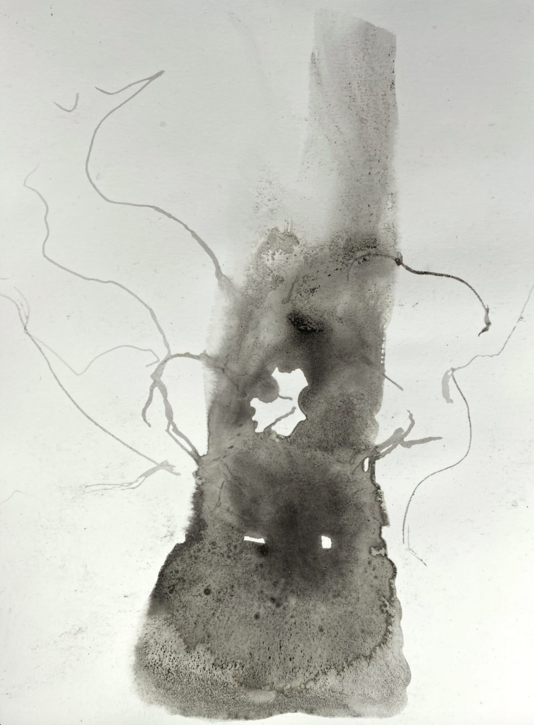 photograph of abstract expressive black ink drawing